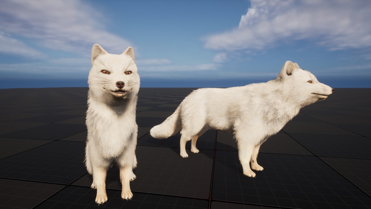 Média 1 pour l'article Arctic Fox