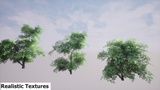 Asset image