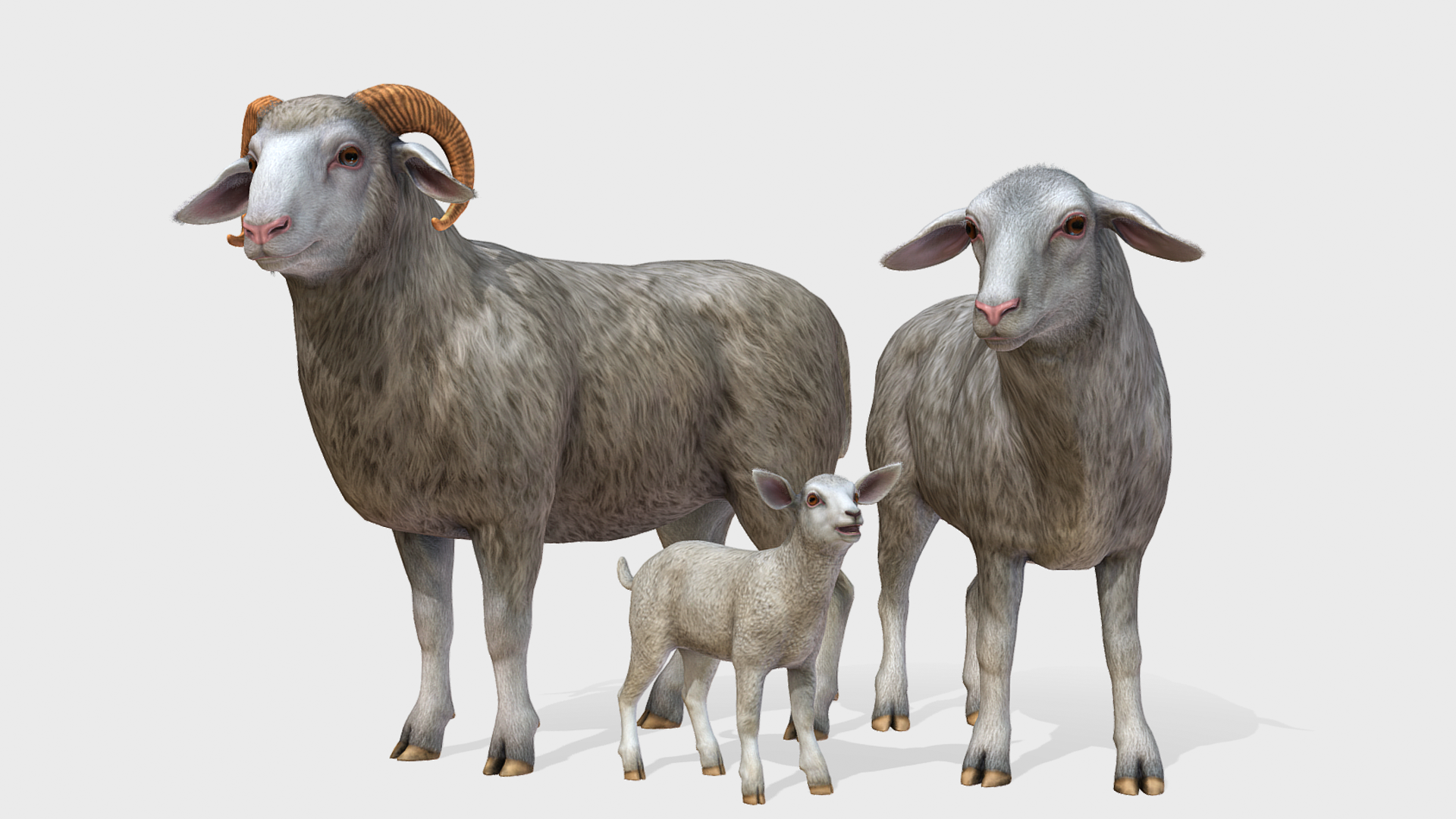 特撮 Sheep c7002a86-7884-4823-9e02-