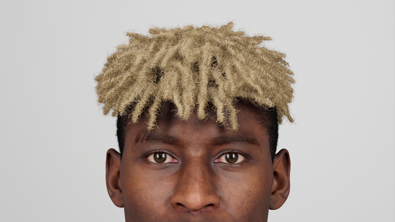 Media 1 for listing dreadlocks dreads rasta hairstyle Groom for metahuman