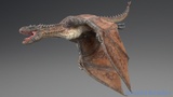 Asset image