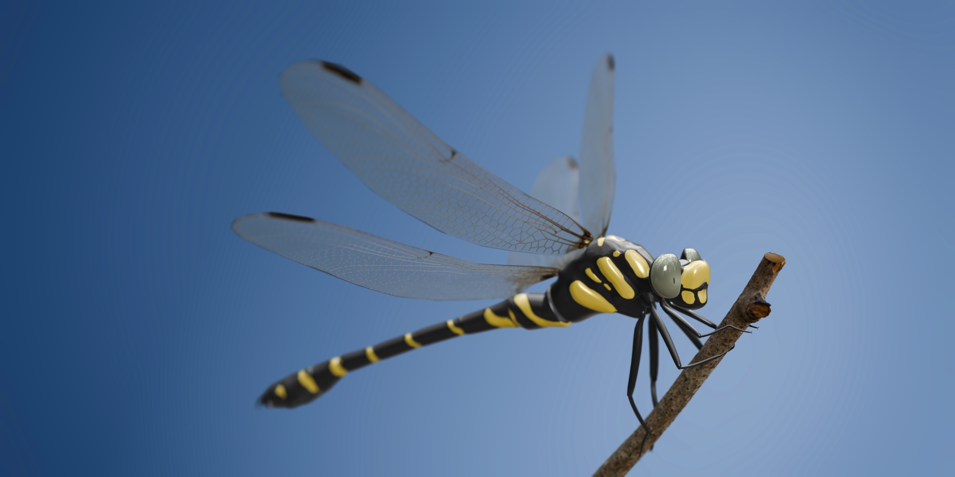 Média 1 pour l'article Animated dragonfly
