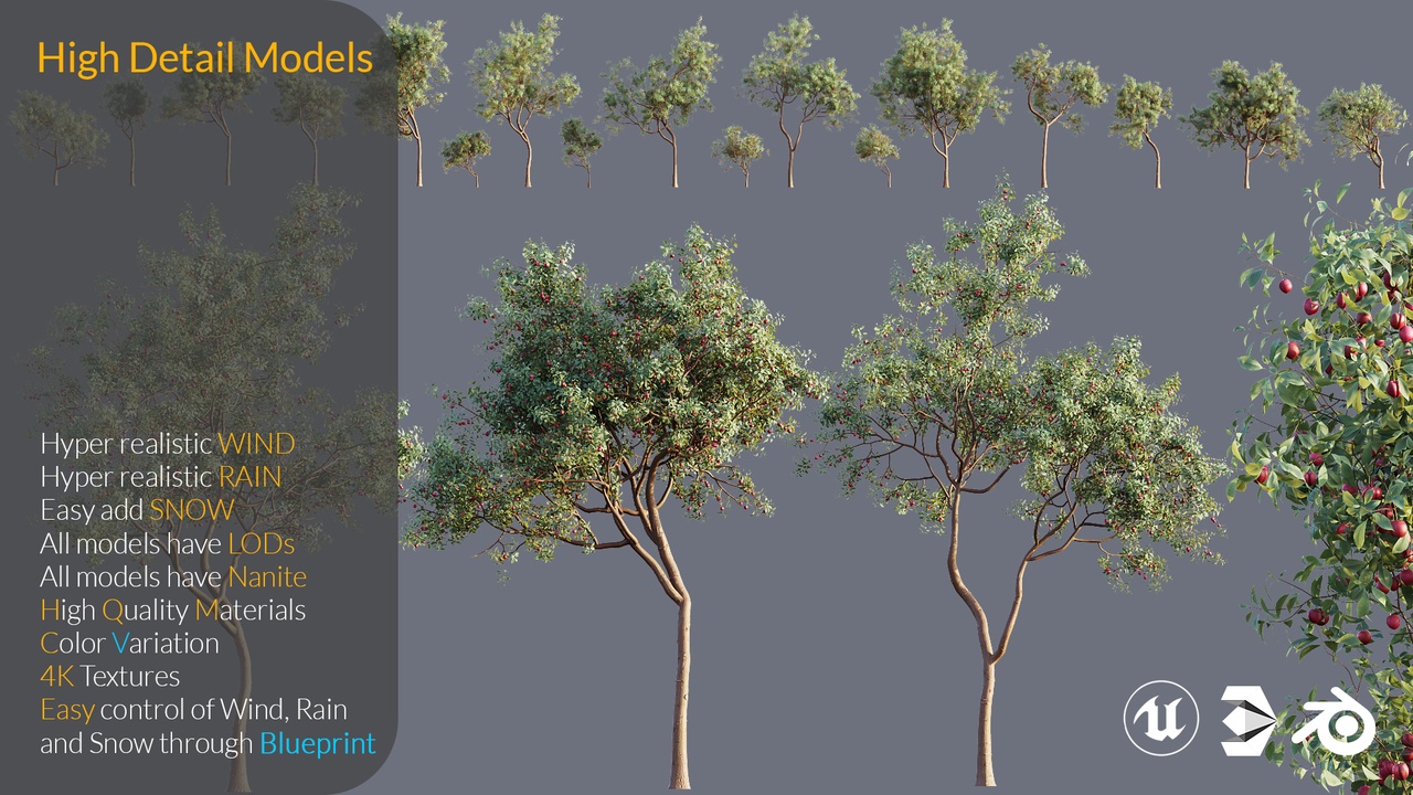 Media 1 for listing XQ High Detail 3D Model Assets Plant Cerasus Pseudocerasus Cherry Fruit Tree