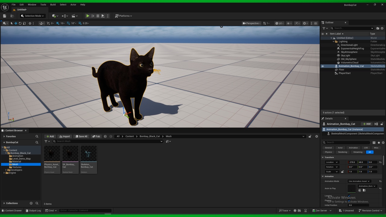 Media 1 for listing Bombay Cat