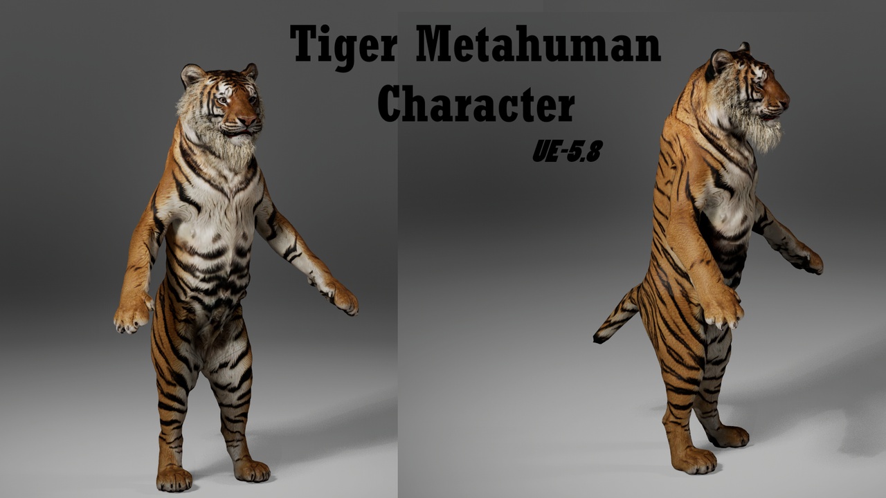 Media 1 for listing Tiger Metahuman Character