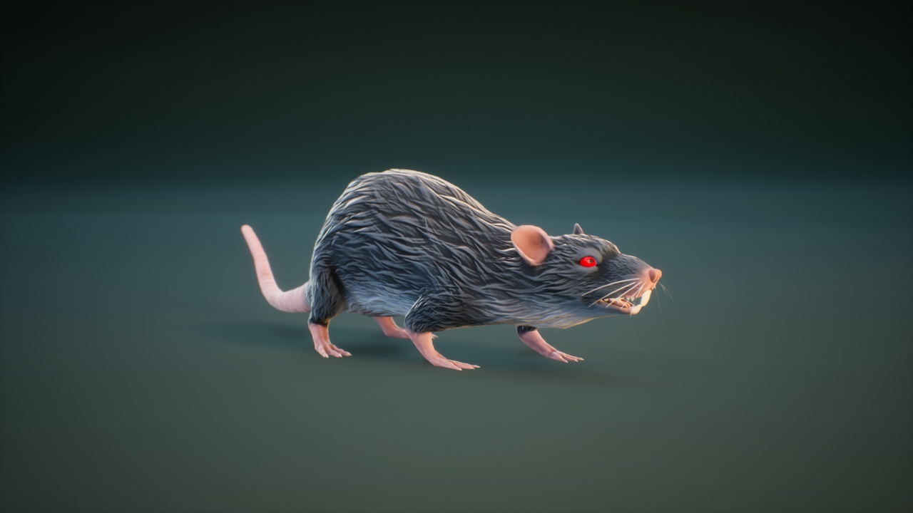 出品Rat Rigのメディア1