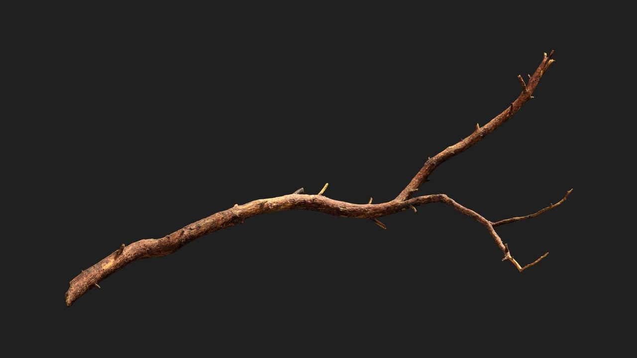 商品 Nordic Forest Tree Branch Pine Small 的媒体 1