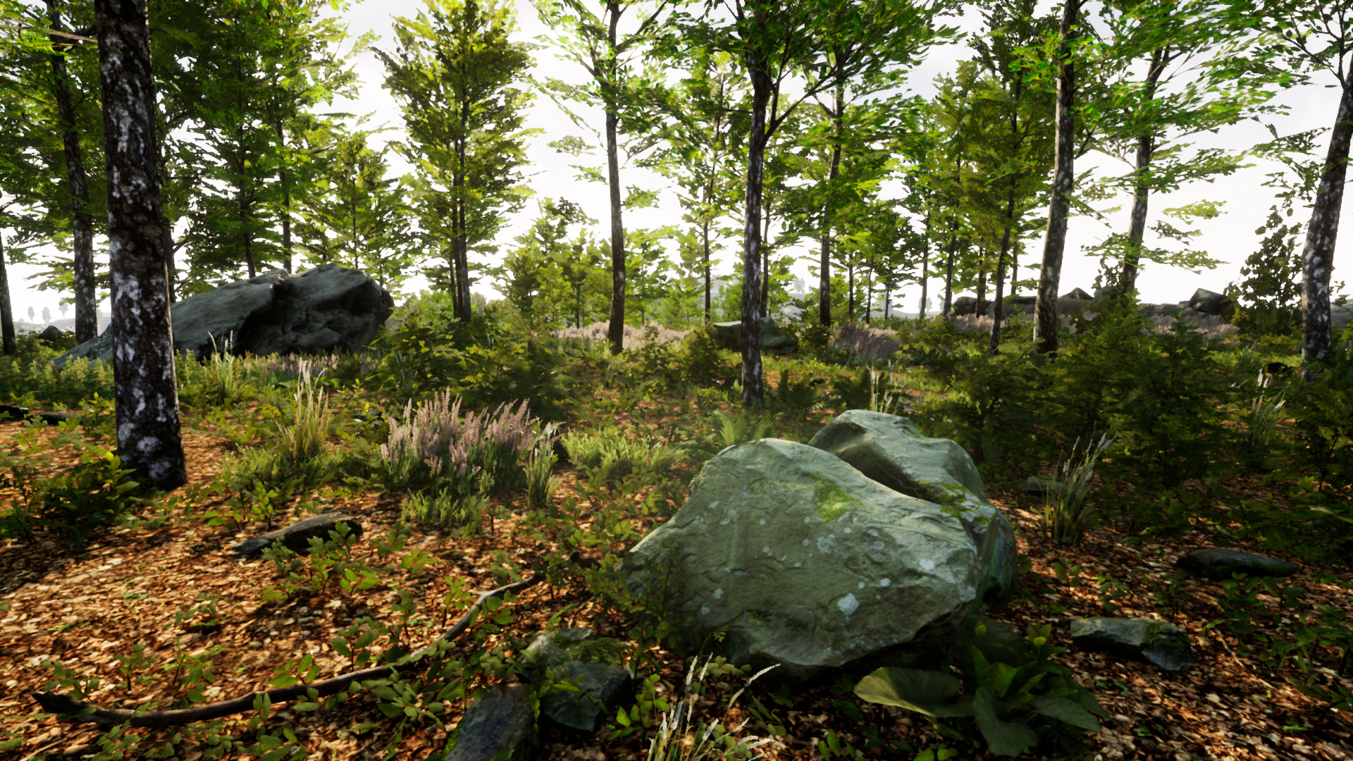 Landscape Pro 3 - Automatic Natural Environment Creation Tool | Fab