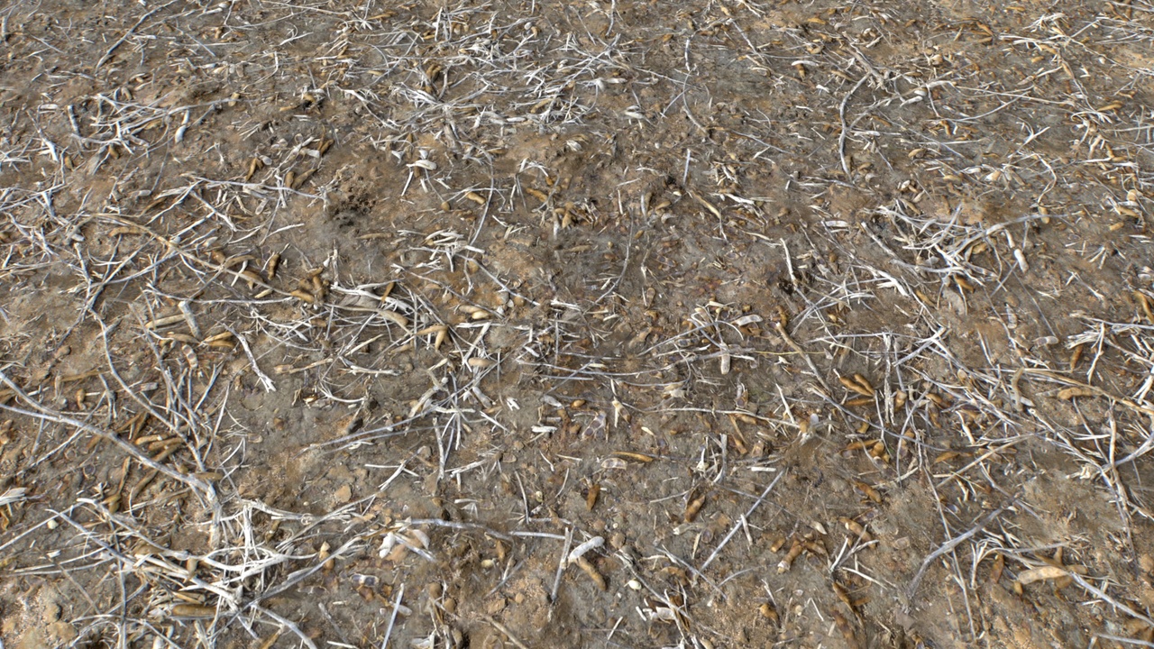 Media 1 for listing Muddy Terrain and Puddles 5 PBR Textures
