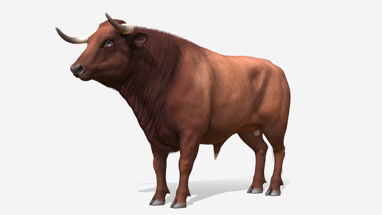 Bulls pack 제품 등록을 위한 미디어 1개