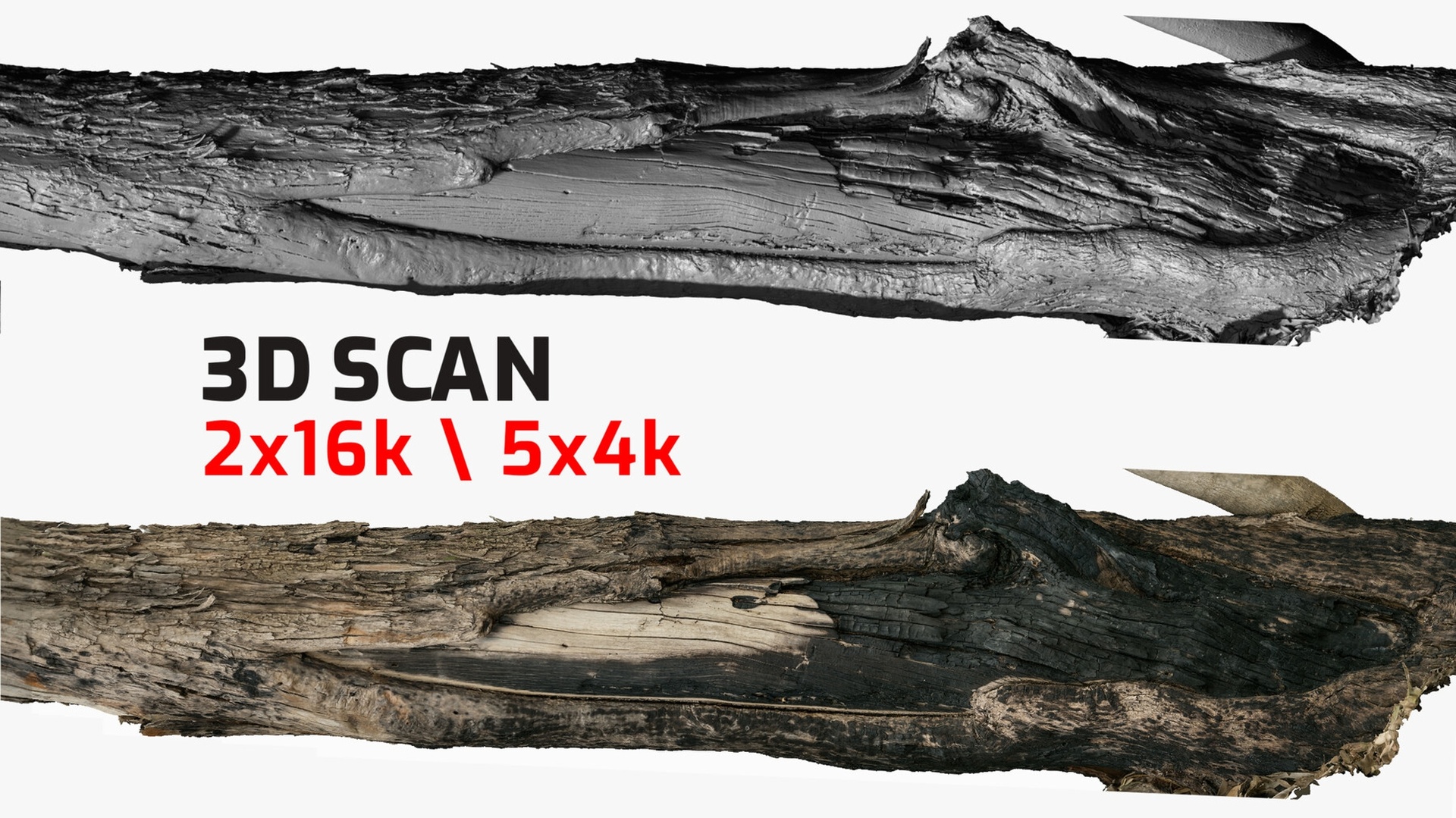 Media 1 for listing Burnt Tree Trunk 5x4k / 2x16k Textures OBJ
