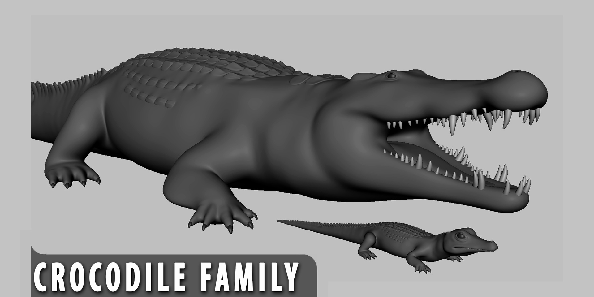 Media 1 for listing Crocdile Family - Topology + UV Map