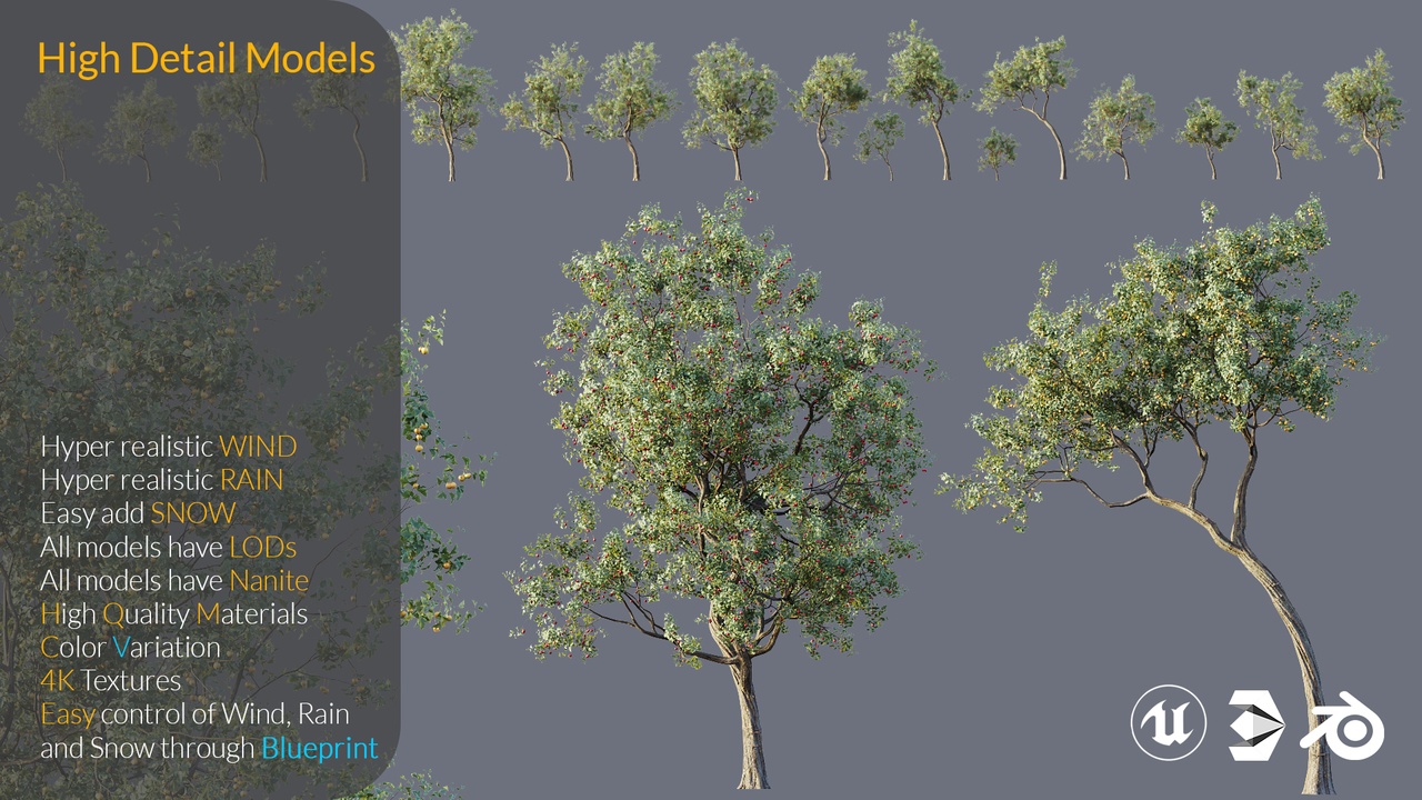 Media 1 for listing XQ High Detail 3D Model Assets Plant Crataegus Pinnatifida Hawthorn Fruit Tree