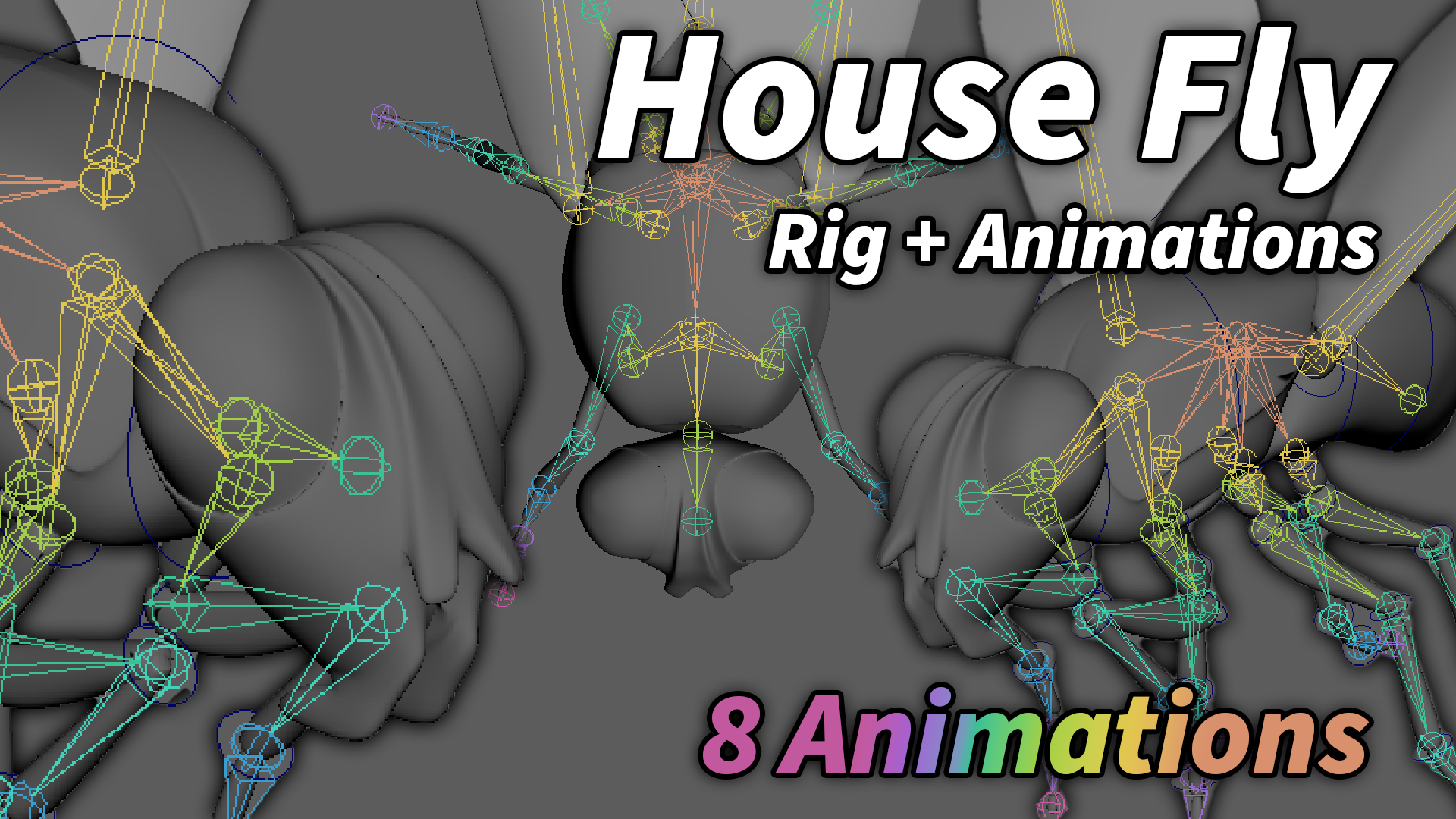 Fly Rig and Animations | Fab
