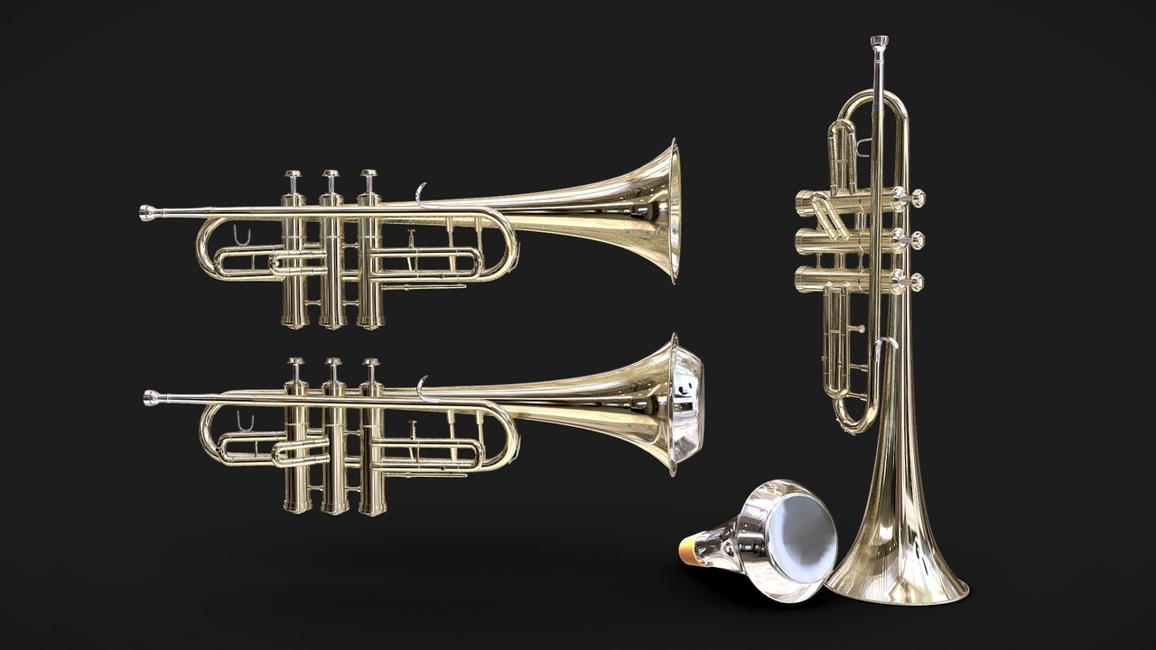 Media 1 for listing Trumpet with Damper