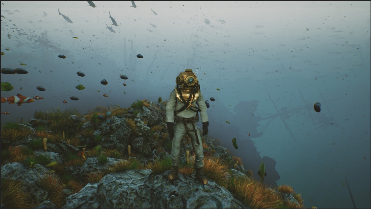 商品 Bay submerged ships 的媒体 1