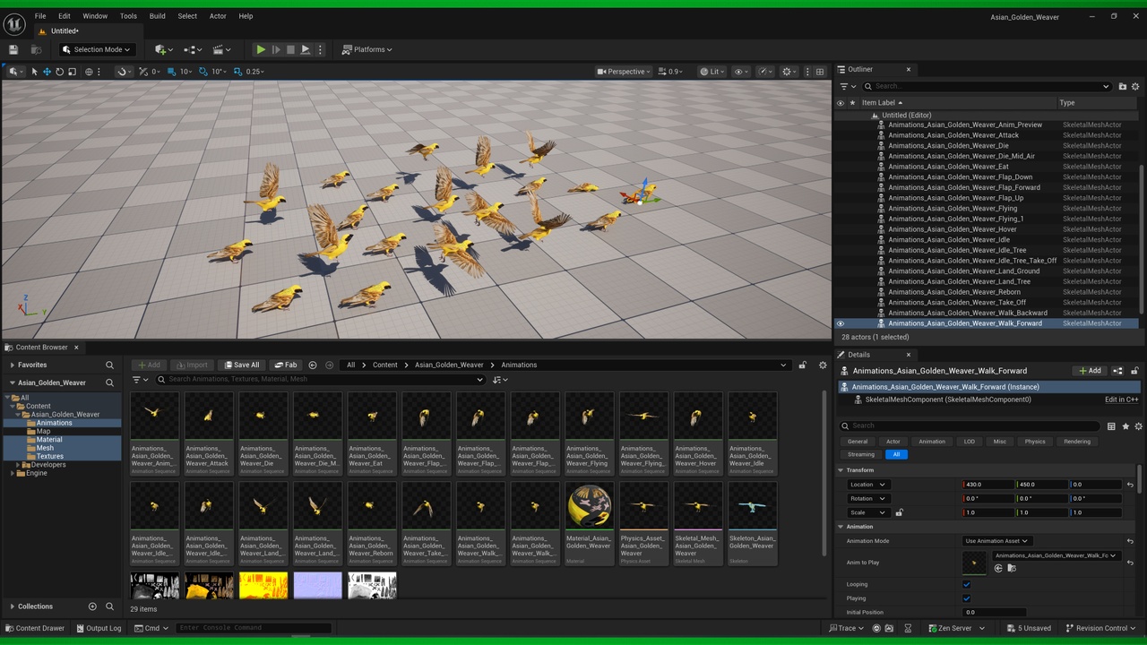 Media 1 for listing Asian Golden Weaver Bird