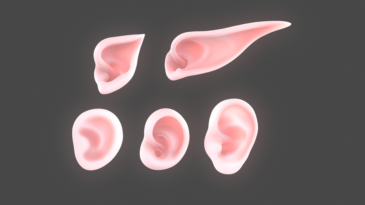 Media 1 for listing Versatile Ear Base Mesh Pack - 5 Stylized and Realistic Ears