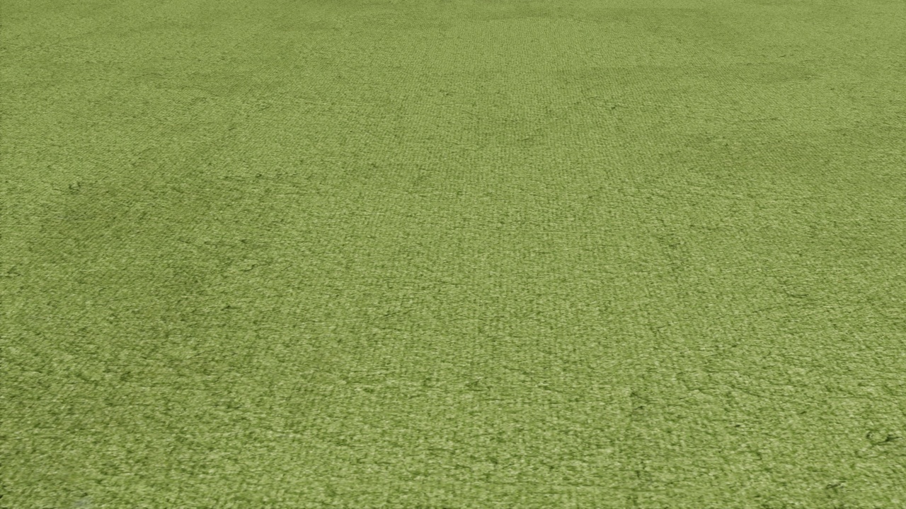 Media 1 for listing Carpet PBR Texture Combo