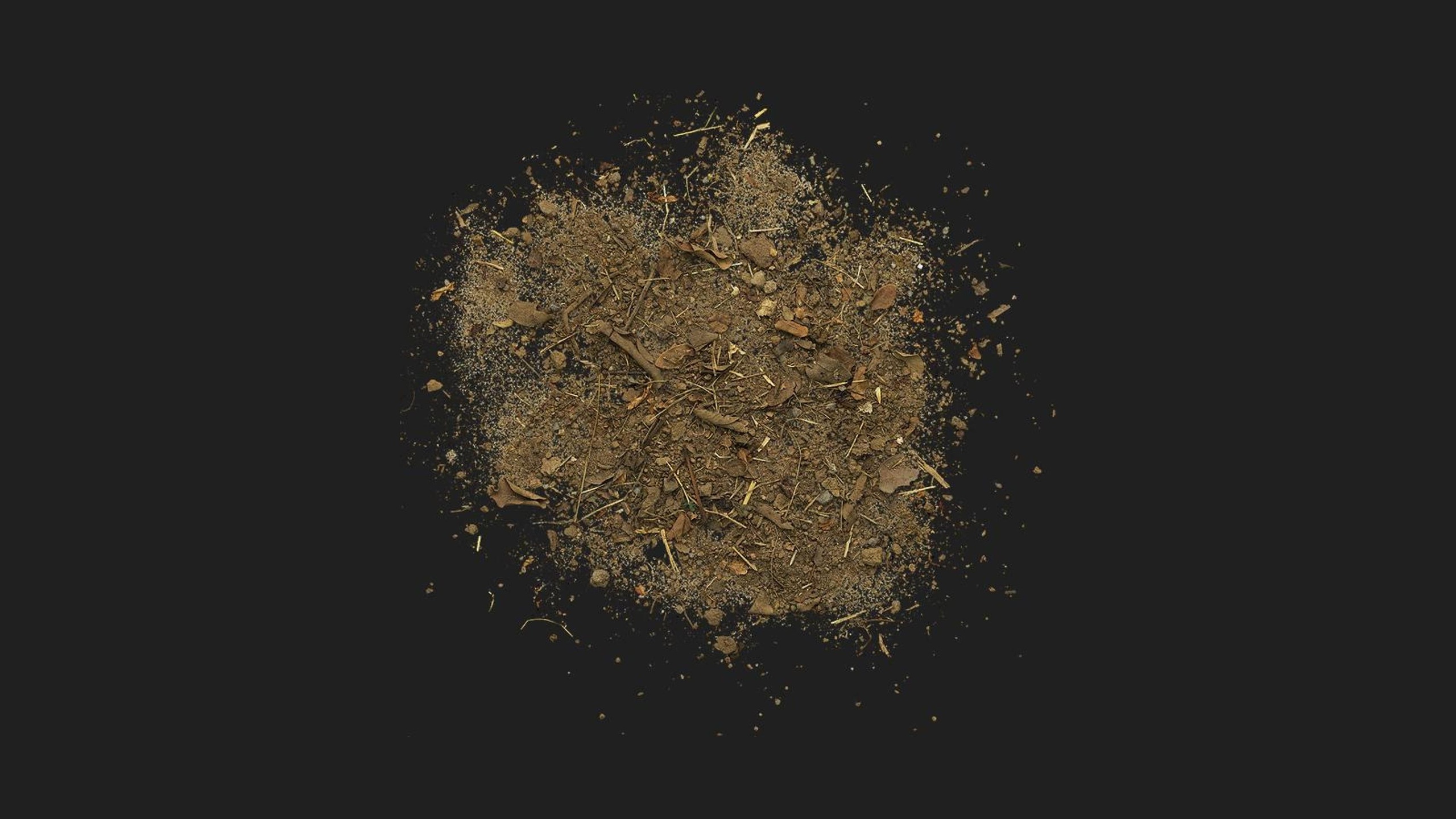 Media 1 for listing Debris