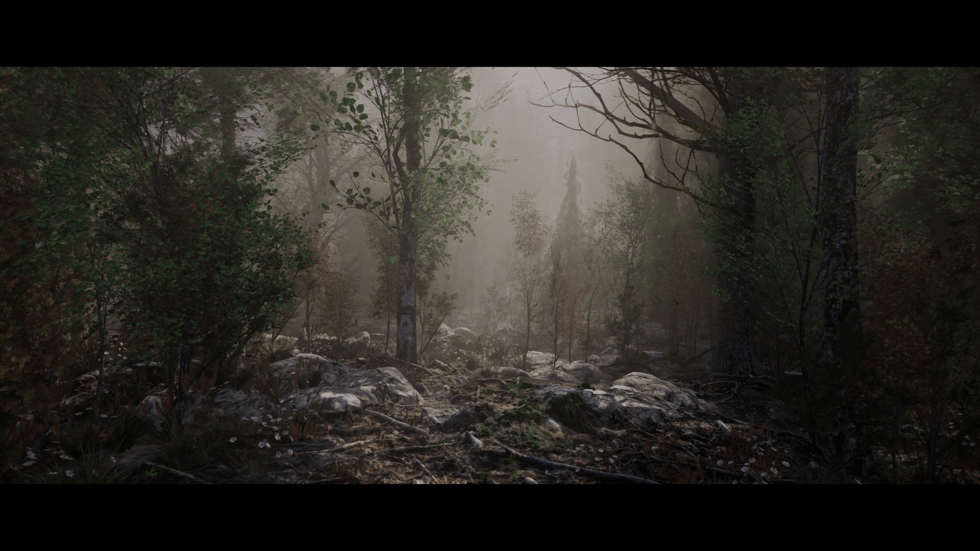 Media 1 for listing Windy Forest