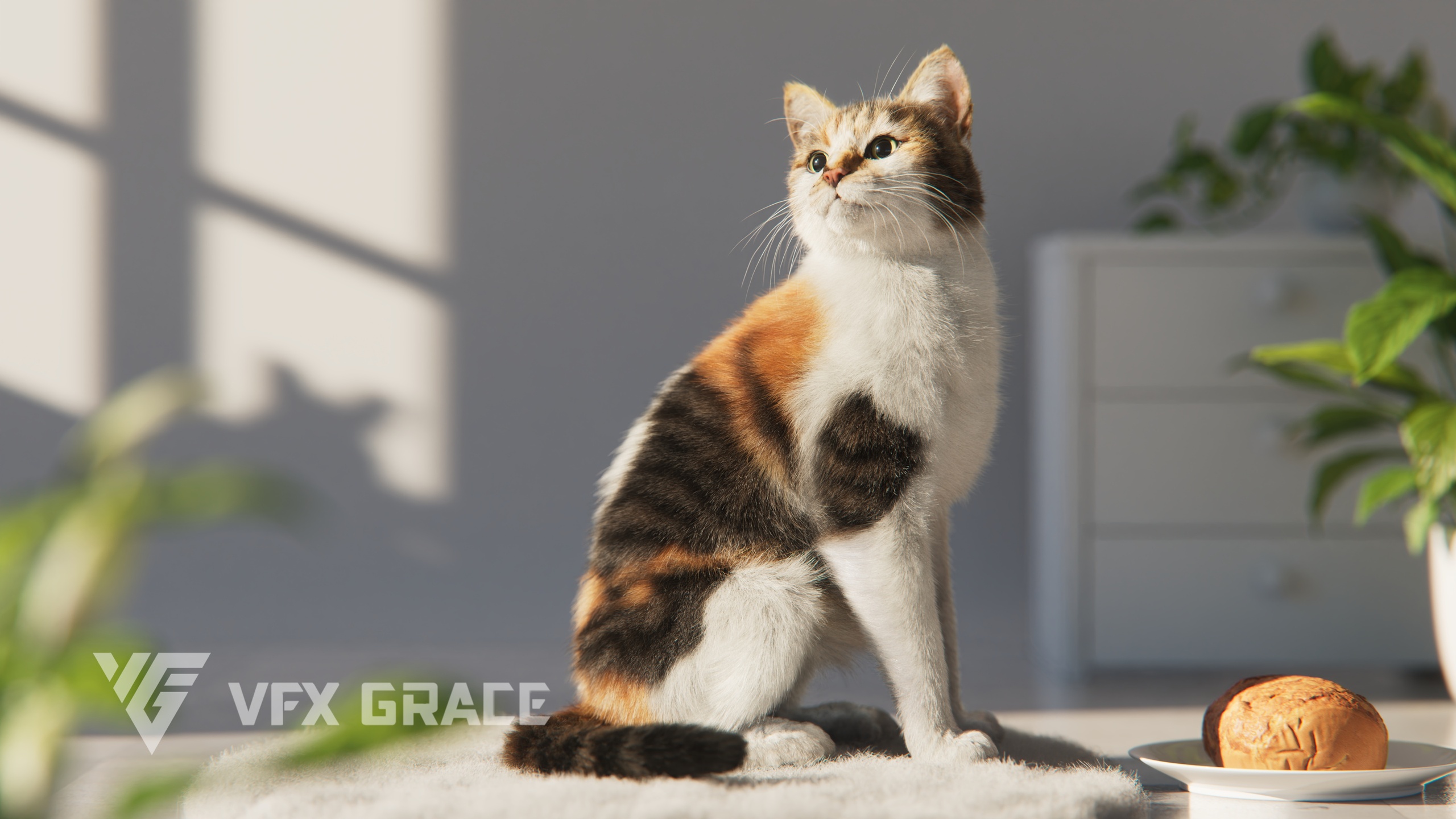 Media 1 for listing Calico Cat 01 Animaion