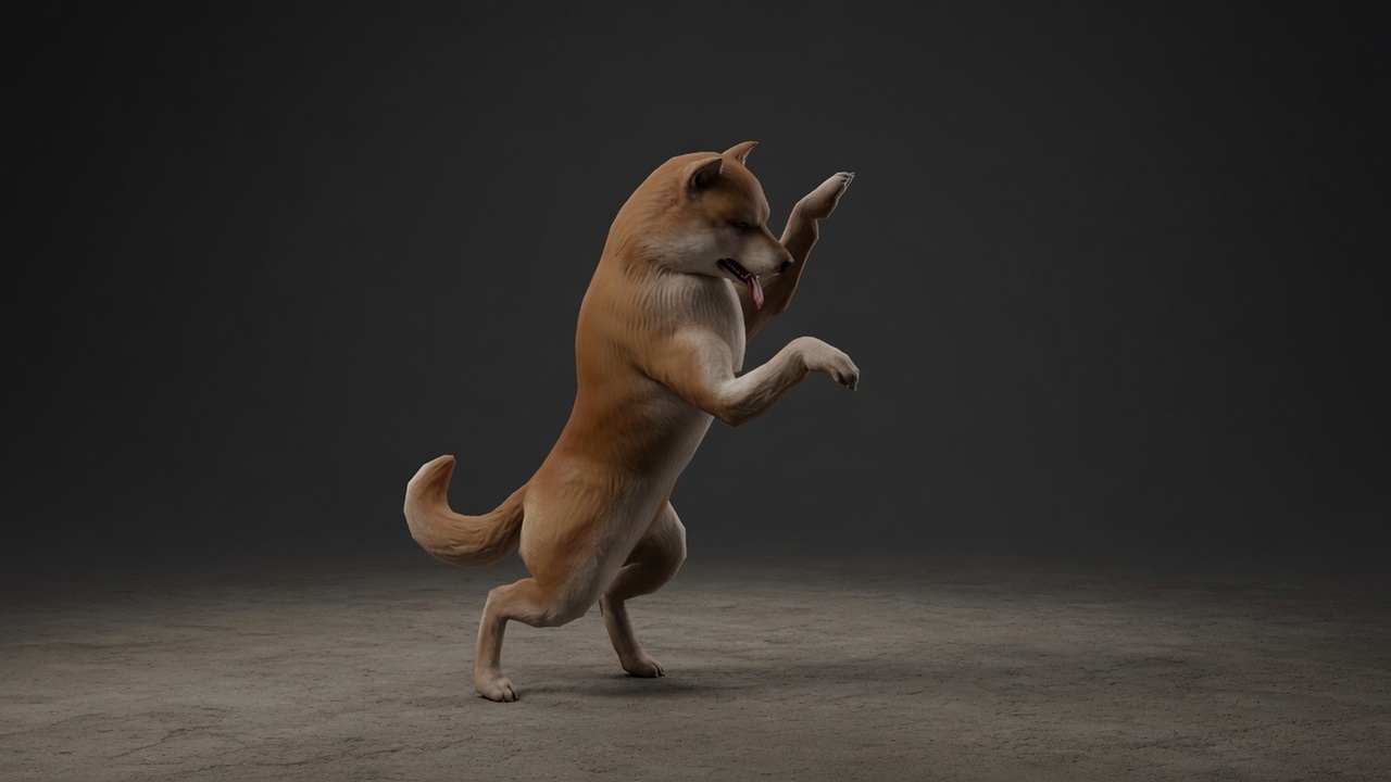 Media 1 for listing PBR Dog