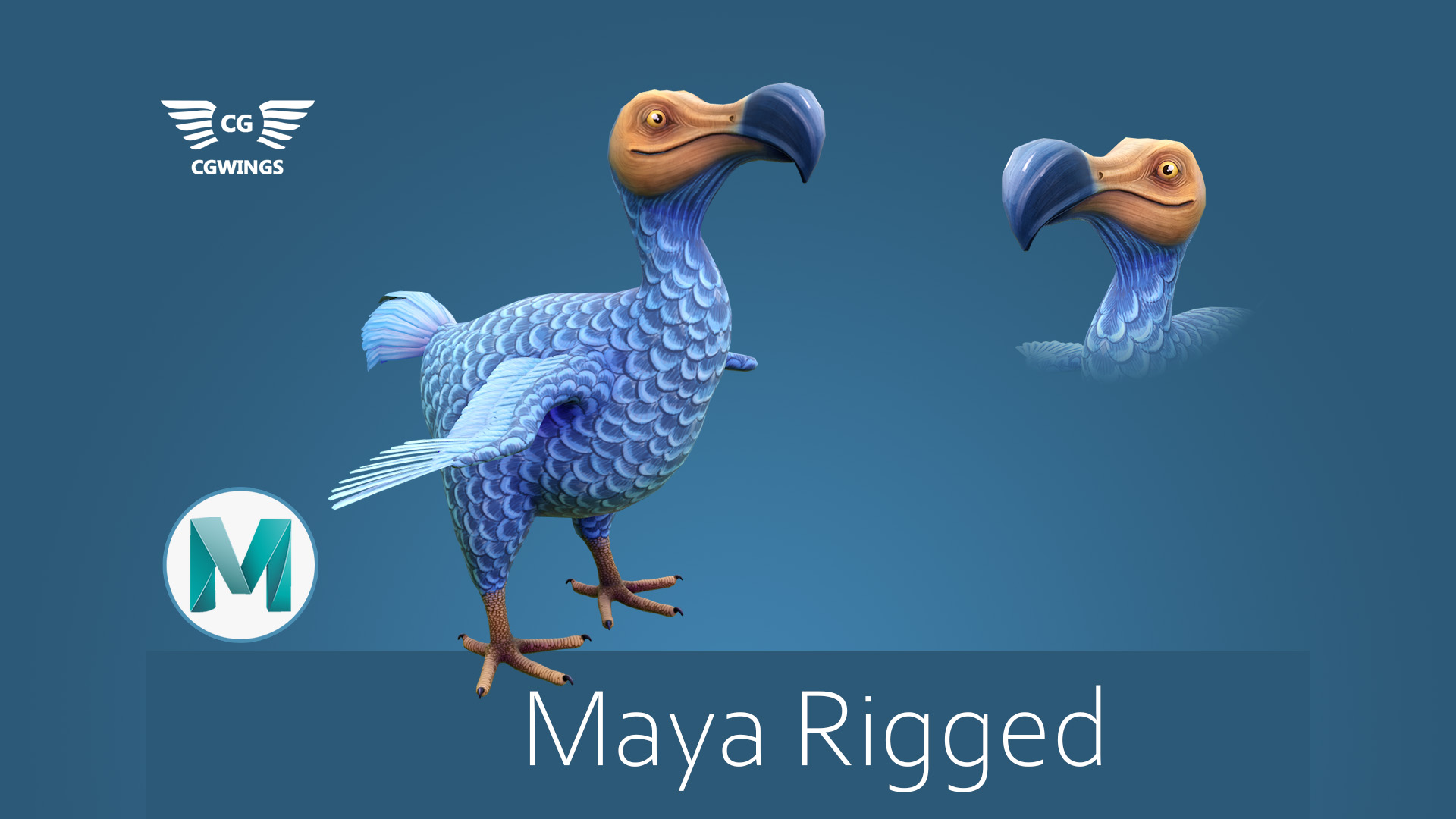 Stylized Dodo Bird | Fab