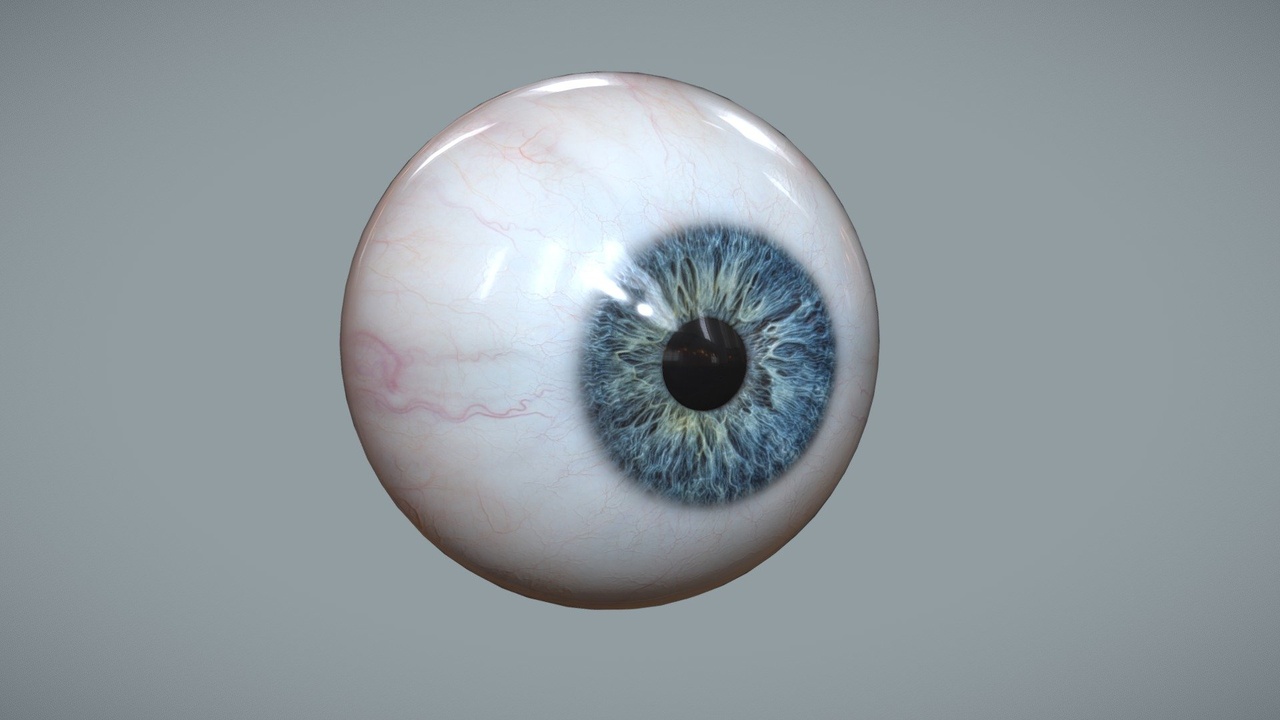 Media 1 for listing Human Eye for Portrait Artist