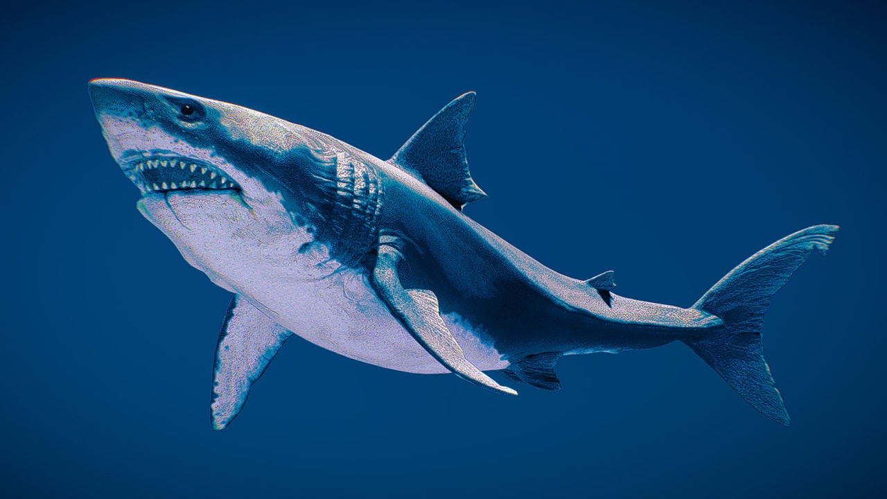 Media 1 for listing Oceanic Wildlife & Predators - Rigged Marine Pack Vol. 1