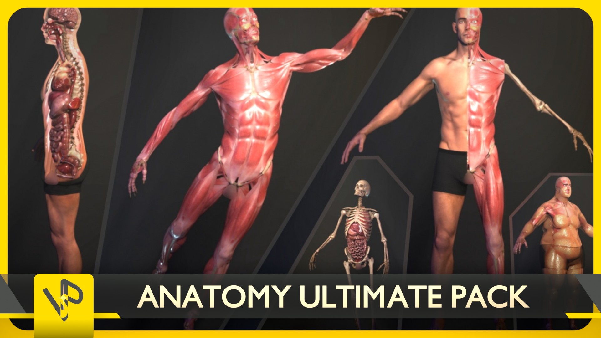 Anatomy Ultimate Pack