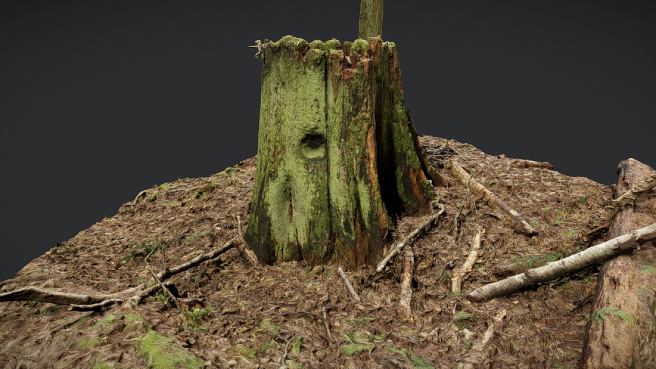 Media 1 for listing Stump 5