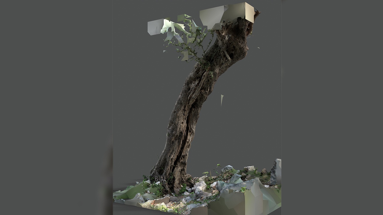 Media 1 for listing Abandoned Village Tree Trunk Scan - Tree 02