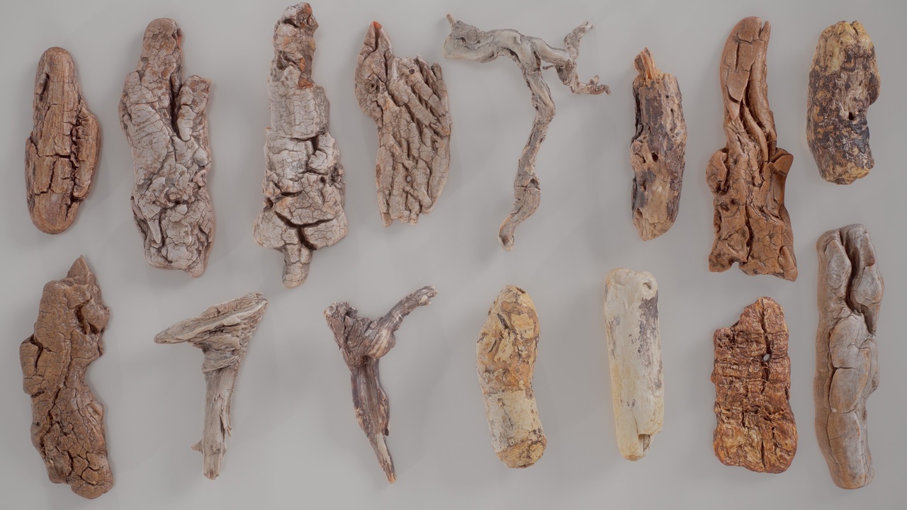 Media 1 for listing 15 3D Scanned Wood Medium Collection