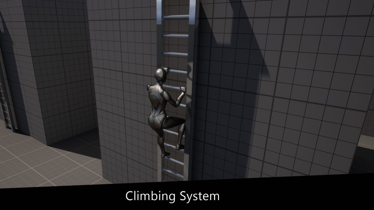 Media 1 for listing Ladder System
