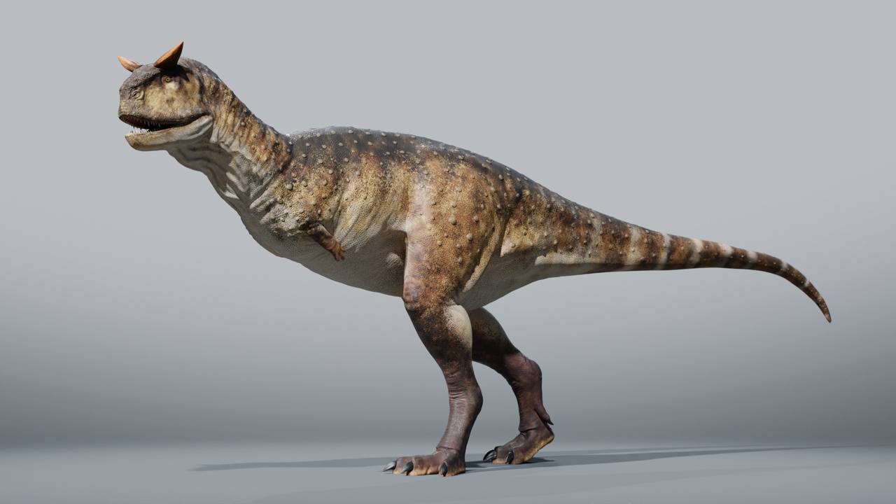Media 1 for listing Carnotaurus Rig