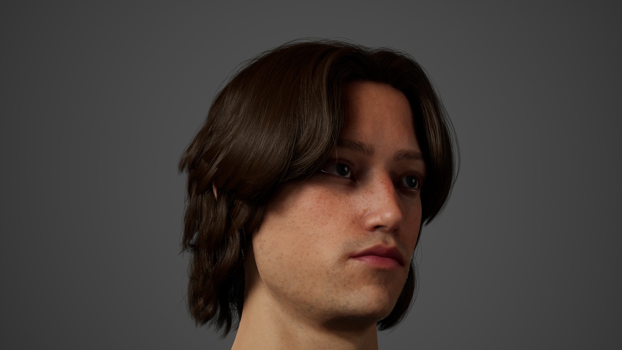 Media 1 for listing MetaHair 223- Groom hair for Metahumans - With lowpoly version in additional