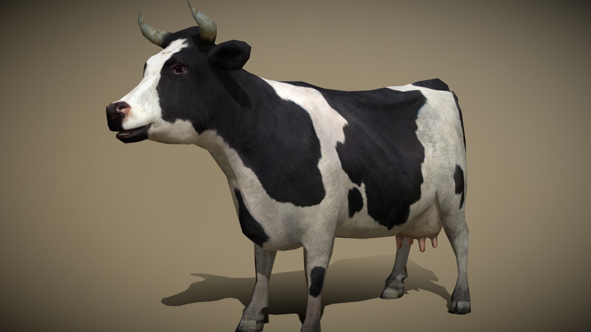 Cow model. Cow model