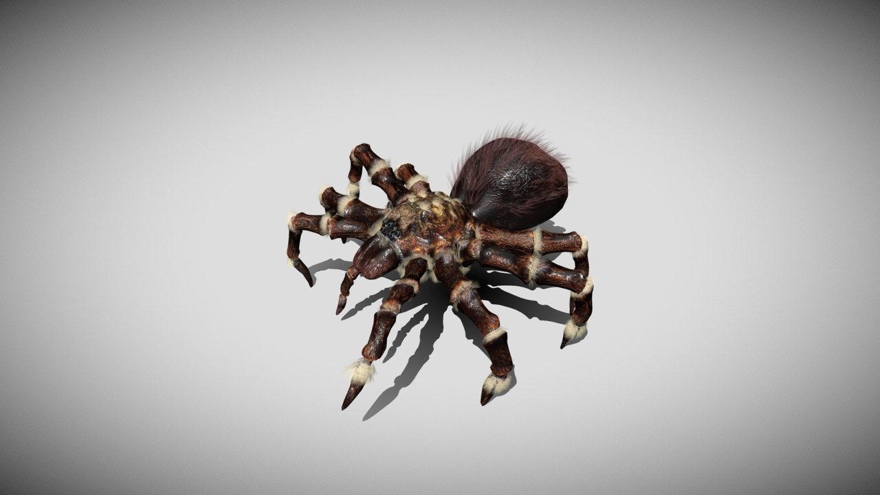 Media 1 for listing Furry Spider with animations