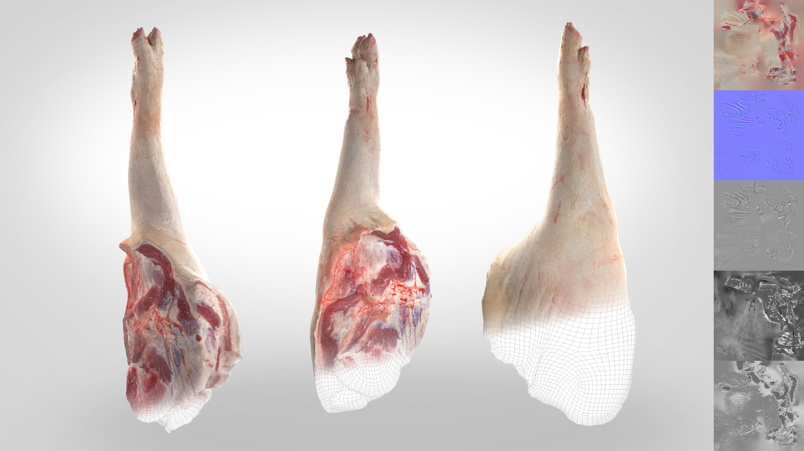 出品Butchered Meat Pack Vol. 2のメディア1