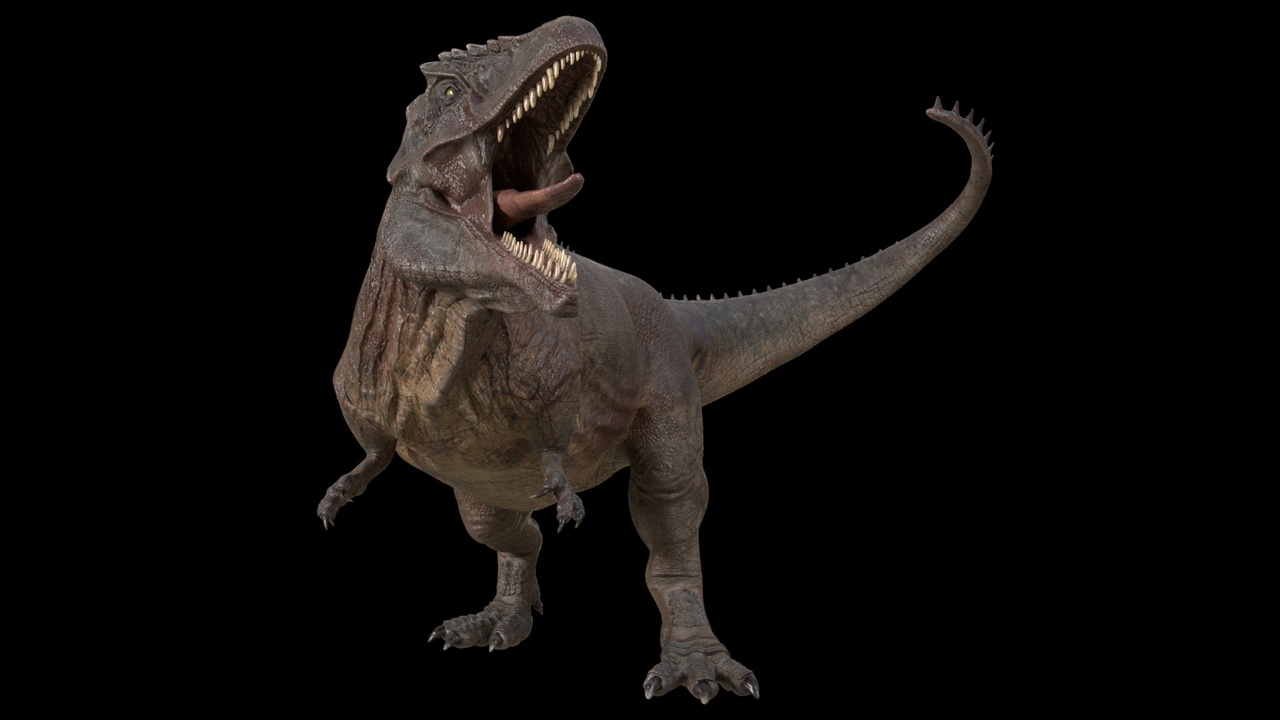 Media 1 for listing Dinosaur HYBRID Giganotosaurus