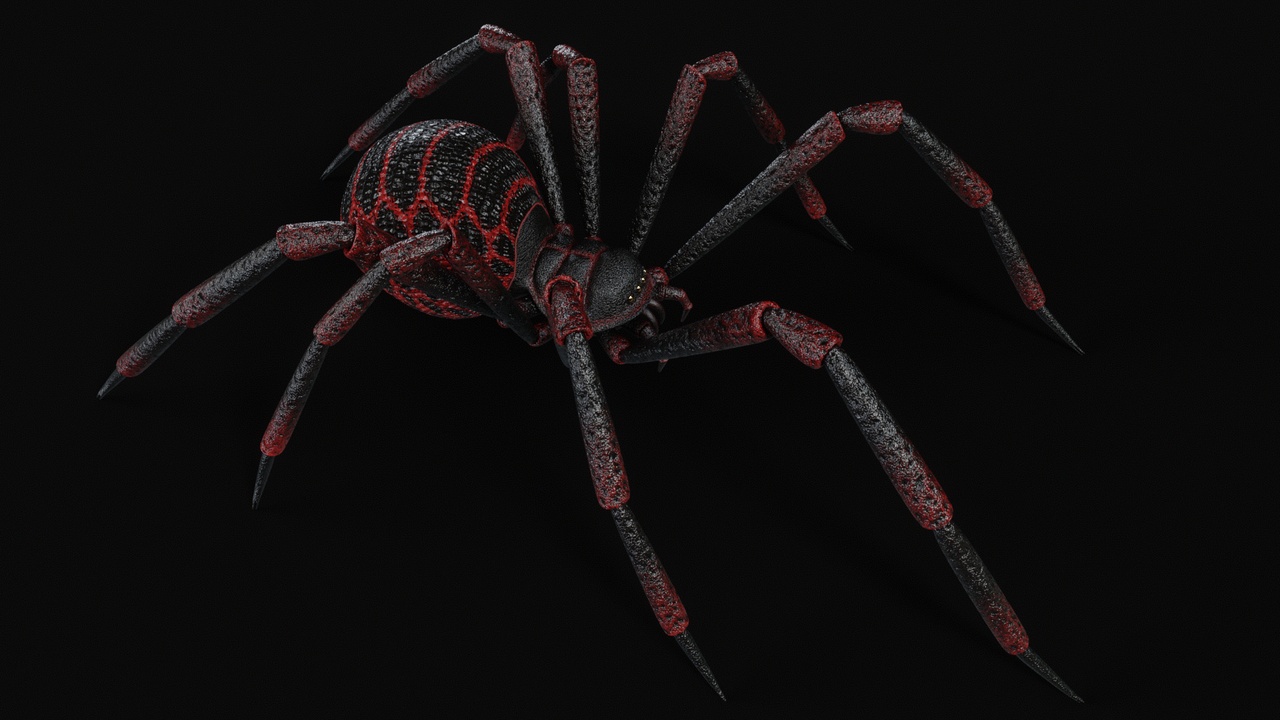 Media 1 for listing Spider