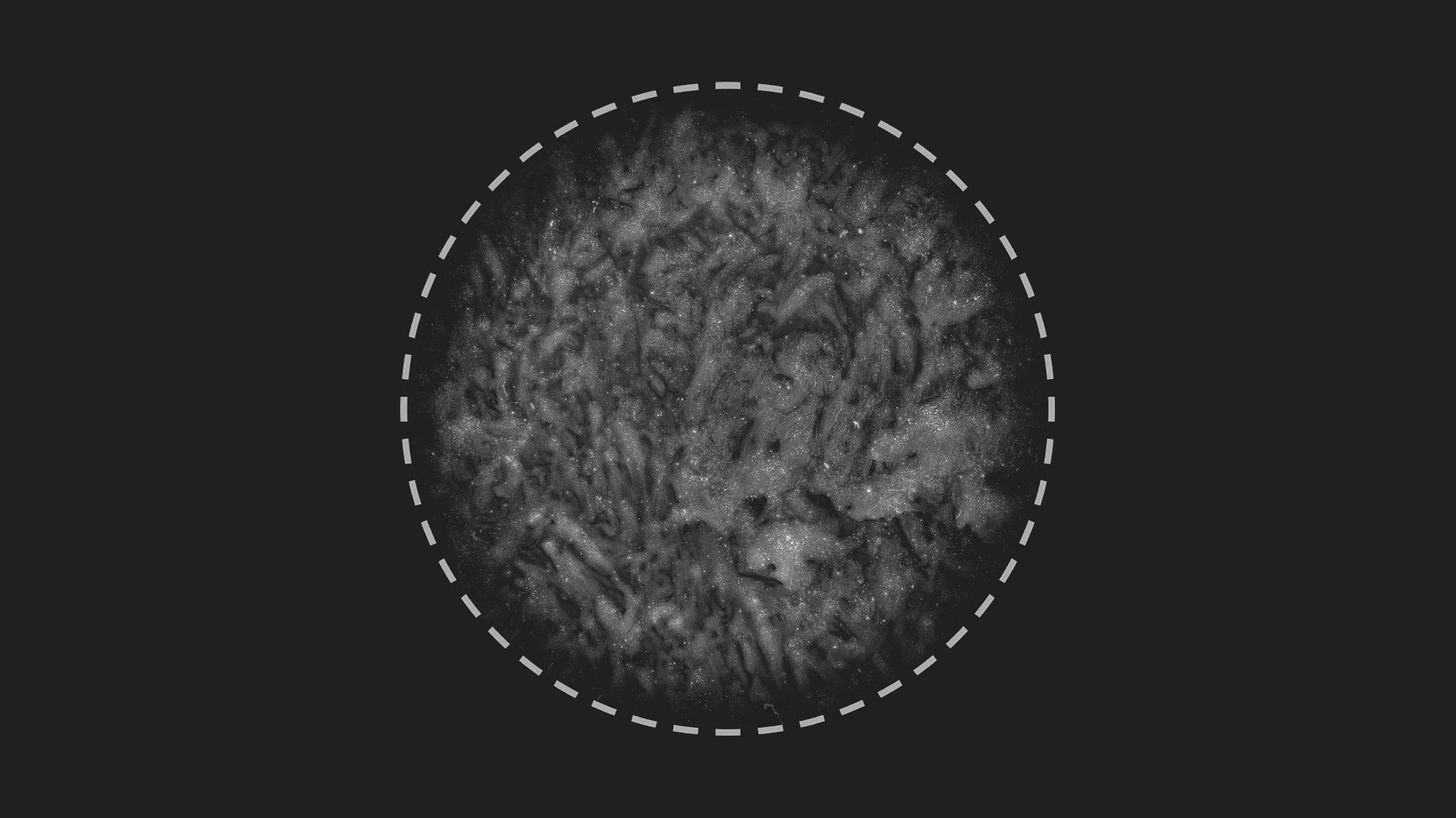 Media 1 for listing Grunge