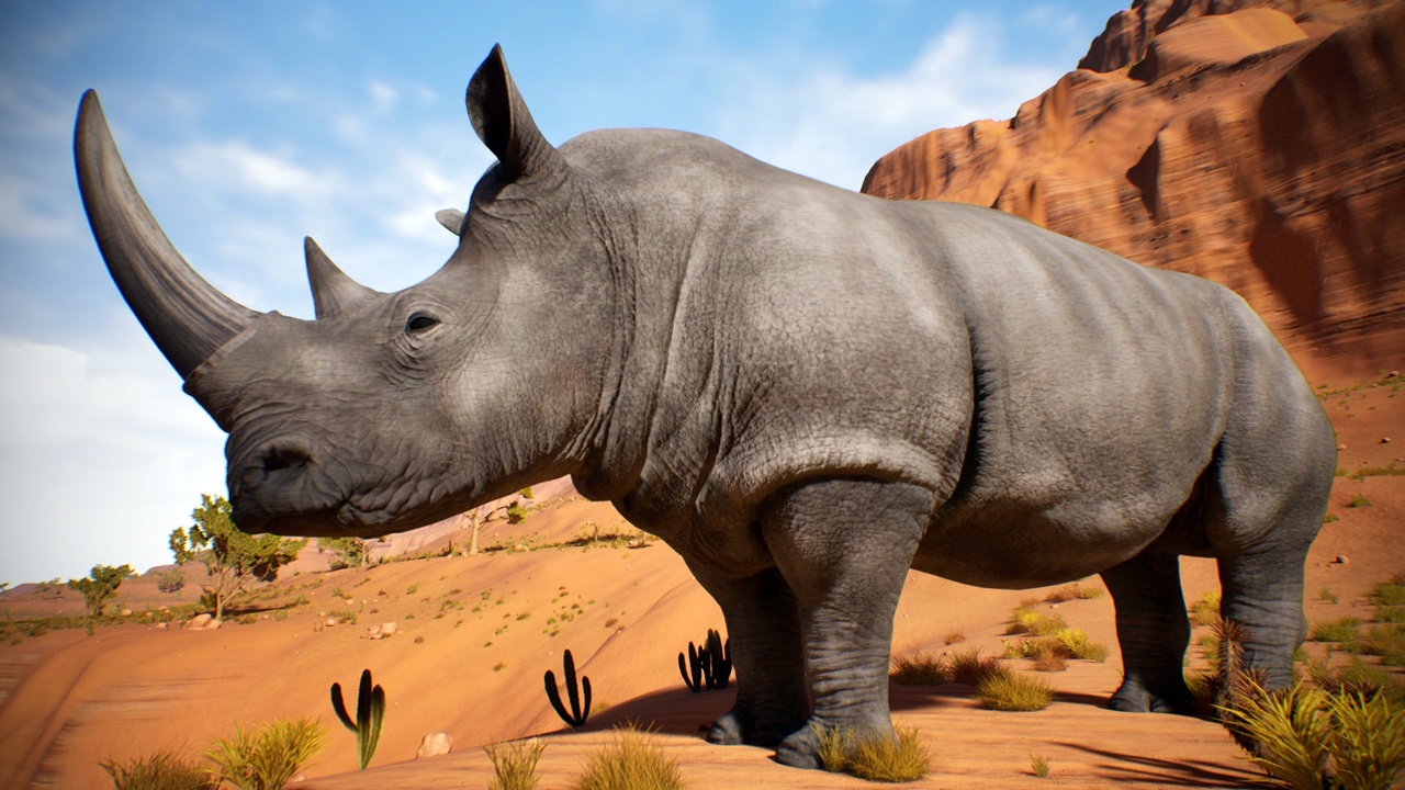 Media 1 for listing Natural Rhino – Realistic Wildlife Character | Game-Ready, Rigged & Animated