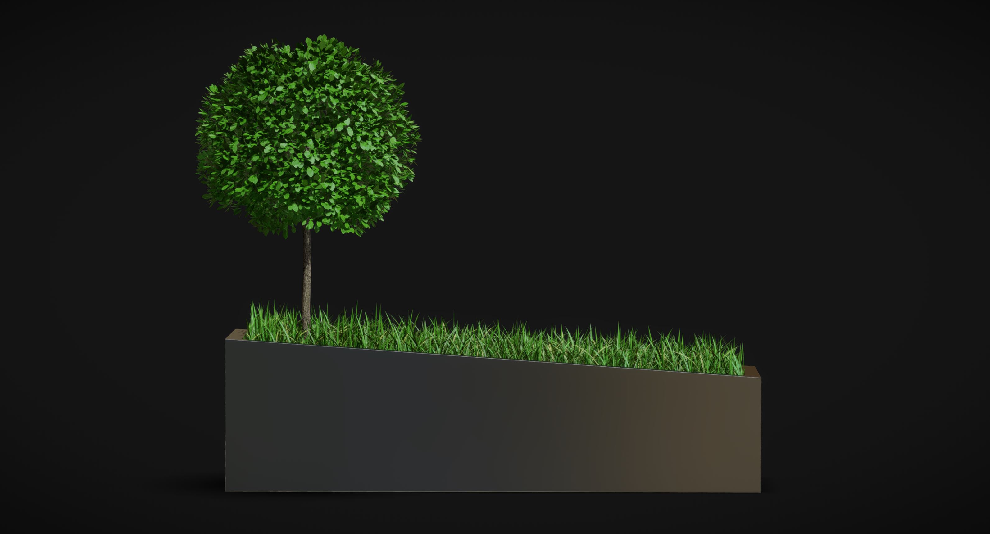 Tree and Grass in Rectangular Planter | Fab