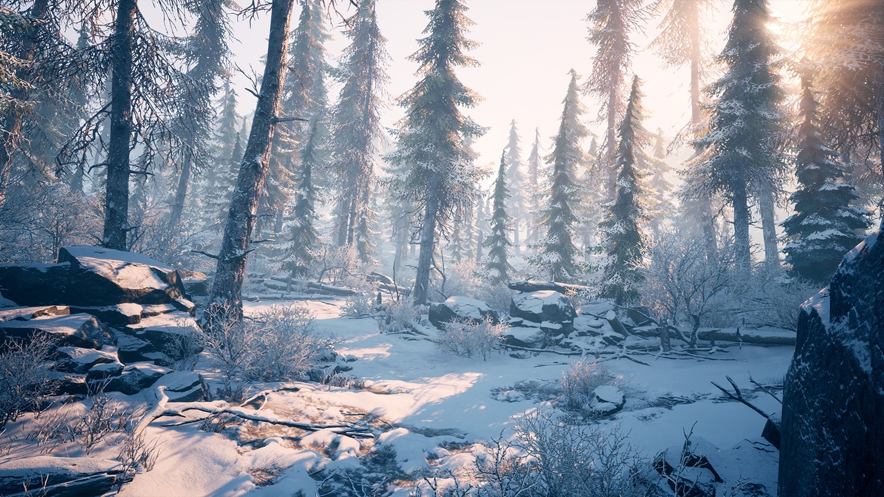 Media 1 for listing Winter Environment - Nature Pack
