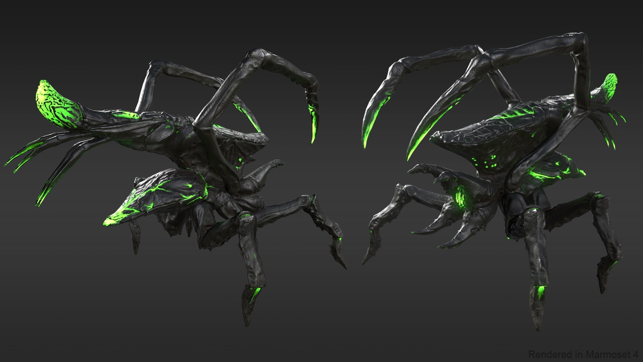 Media 1 for listing Arachnid