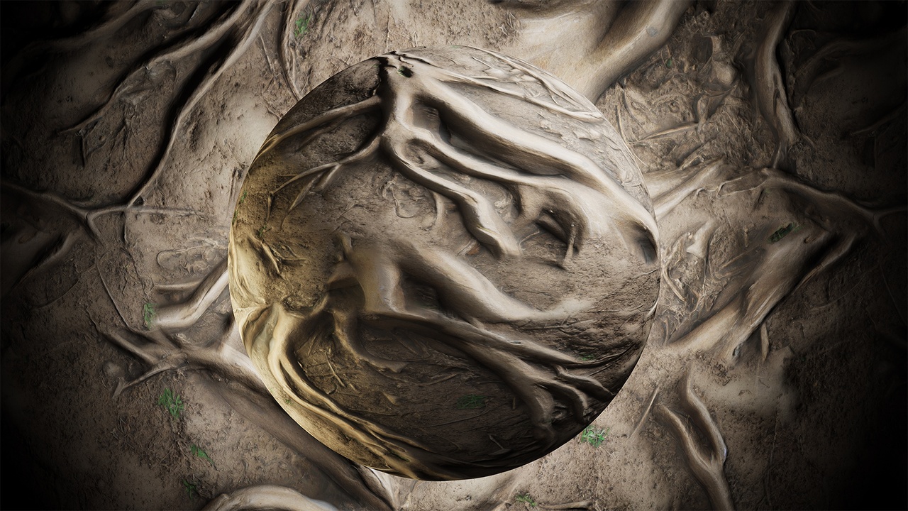 Media 1 for listing Tree Roots Material Pack 1