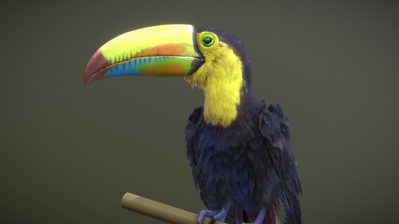 Media 1 for listing Keel-Billed Toucan