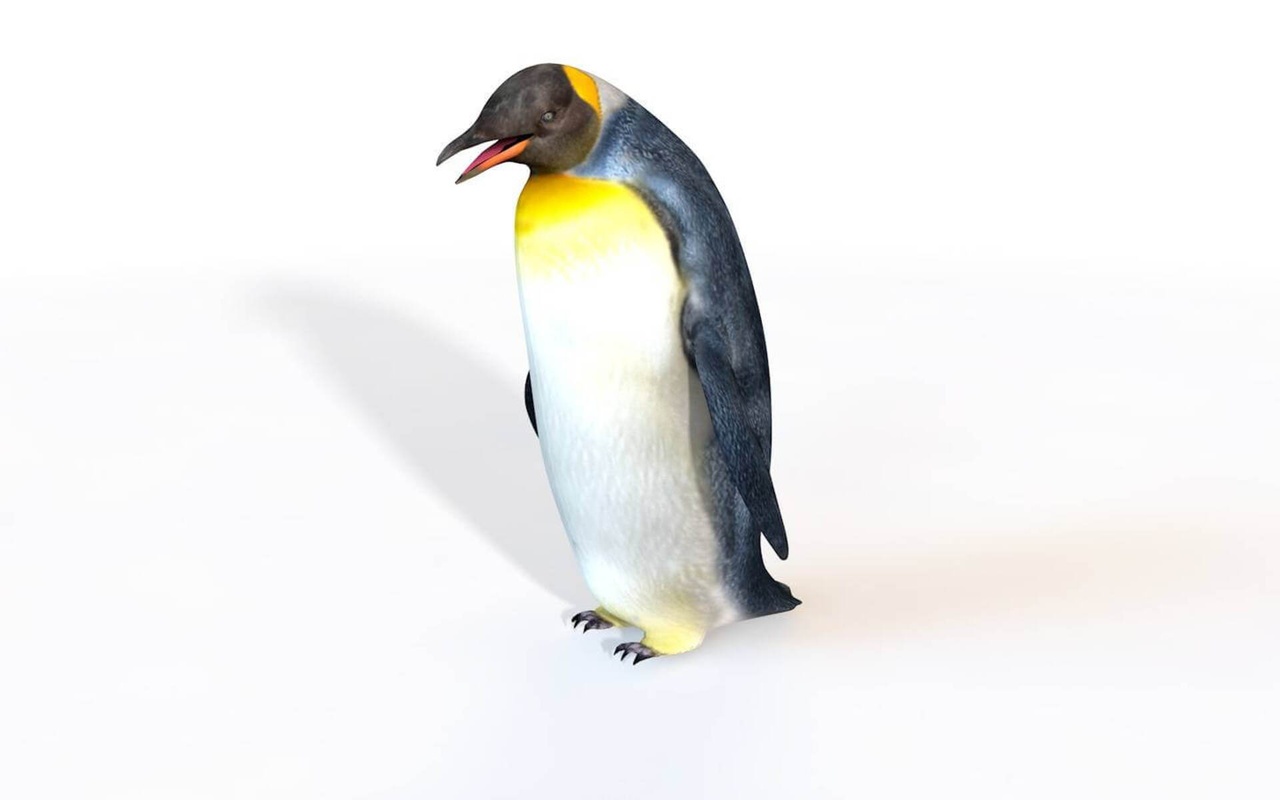 Media 1 for listing Penguin 3D Model